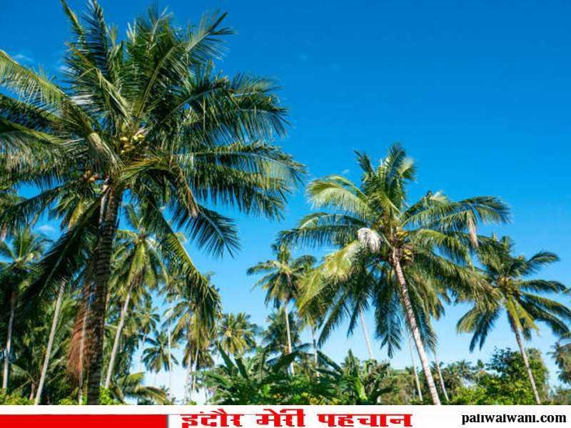 मध्य प्रदेश मौसम विभाग का अलर्ट जारी : तेज आंधी, ओले और बारिश का दौर जारी, शादी का टेंट तक उड़ा तो कही शादी का मजा बिगड़ा