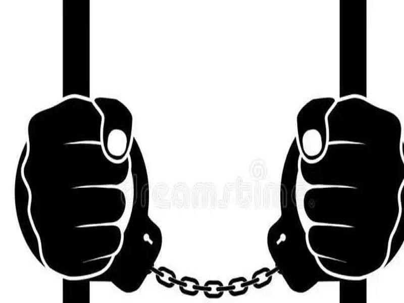 अवैध मादक पदार्थ डोडाचूरा की तस्करी करने वाले आरोपी को 5 वर्ष का सश्रम का कारावास
