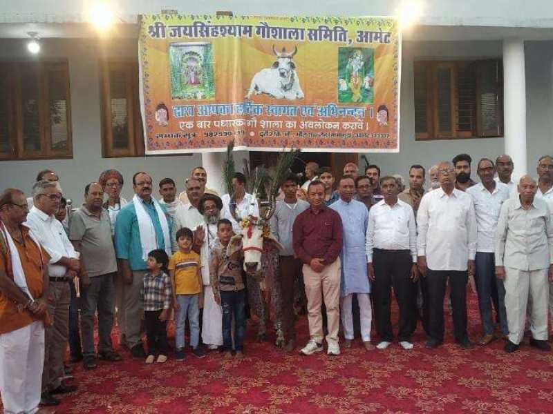 आमेट अपडेट : गोपाष्टमी के उपलक्ष में जय श्याम गौशाला में गायों की पूजा की