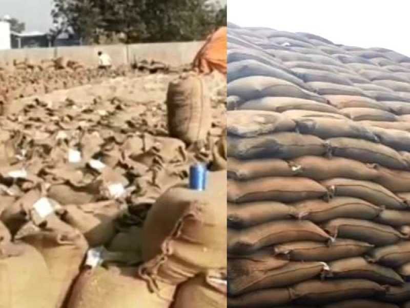 2 करोड़ रुपए की 11 हजार क्विंटल धान हुई गायब, मचा हड़कंप