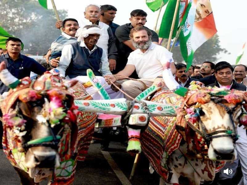 100 दिन पूरे कर चुकी भारत जोड़ो यात्रा के संबंध में आई बड़ी खबर : नौ दिनों का ब्रेक होगा
