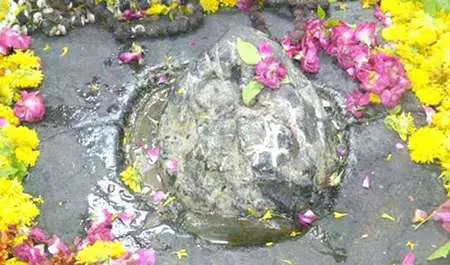 ओंकारेश्वर मंदिर 16 जून से श्रद्धालुओं के लिए खुलेगा