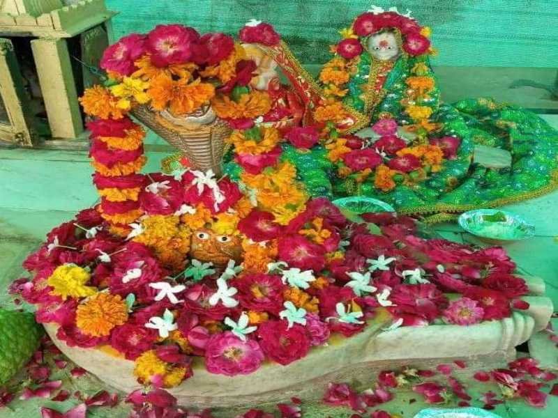 बामन टूंकड़ा : महाशिव रात्रि 11 मार्च को शिव संकीर्तन से गूंजेगा पाटिया महादेव तीर्थ स्थल, भ्रमण पर निकलेंगे भोलेनाथ