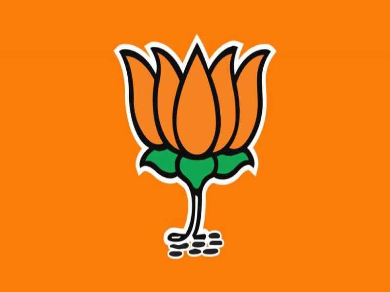 एक लोकसभा क्षेत्र और तीन विधानसभा क्षेत्रों के उपचुनाव की दृष्टि से भाजपा ने दायित्व सौंपे
