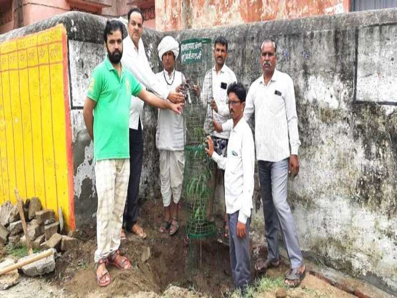 आमेट परिक्रमा : विश्व स्काउट स्कार्फ़ दिवस पर पौधारोपण