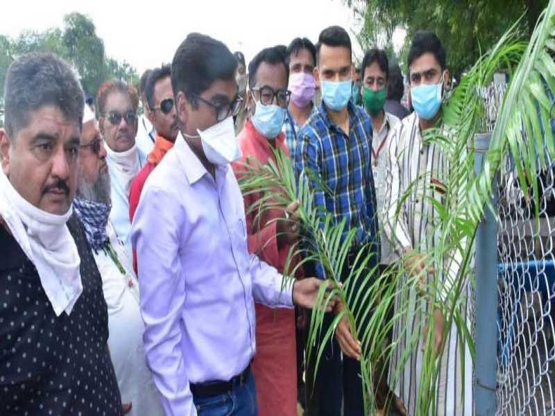 हुसैन टेकरी शरीफ'वक्फ' जावरा पर 55 पौधों से पौधारोपण