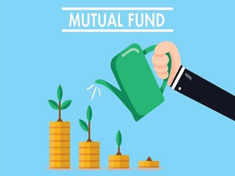 Mutual Funds SIP : इन 3 फंड्स में 5,000निवेश करके आप कमा सकते है 12 लाख रुपये, जाने कैसे