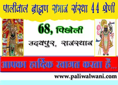 पालीवाल ब्राह्मण समाज संस्था उदयपुर की समीक्षा बैठक संपन्न